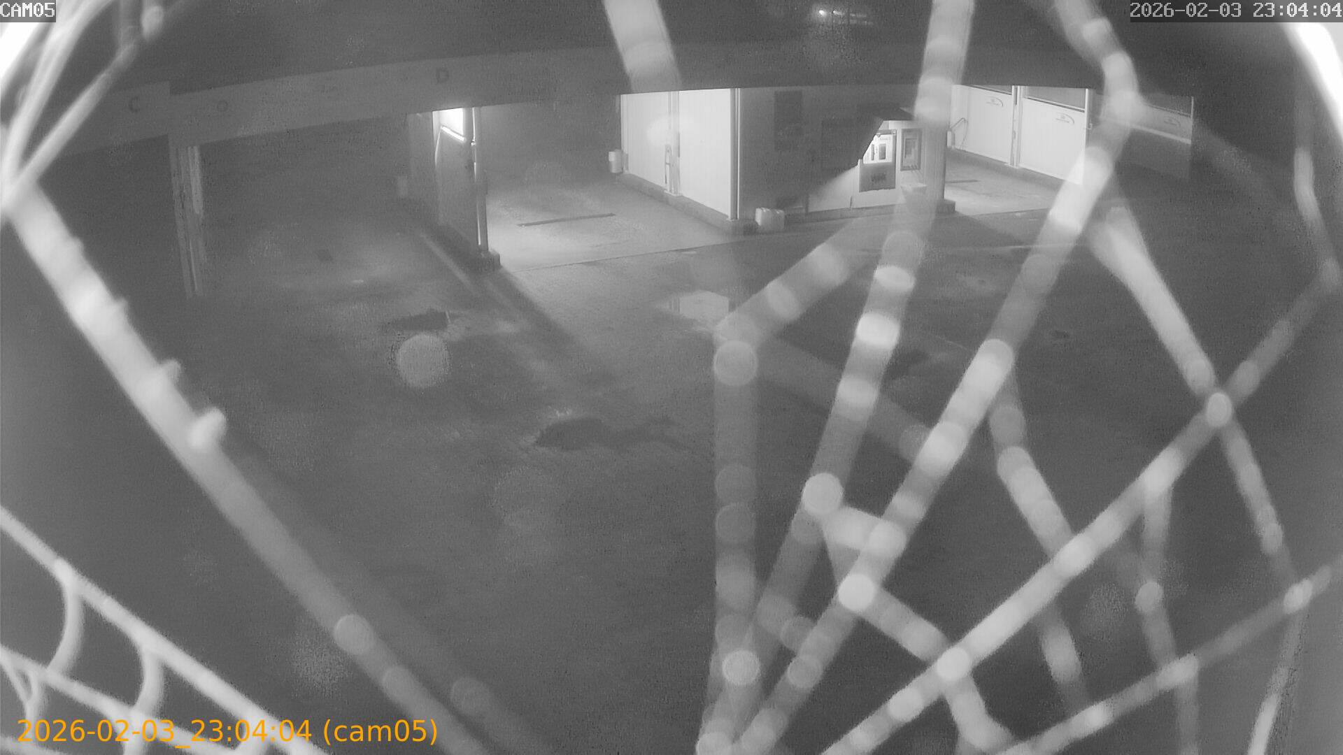 thumbnail_20260203230404