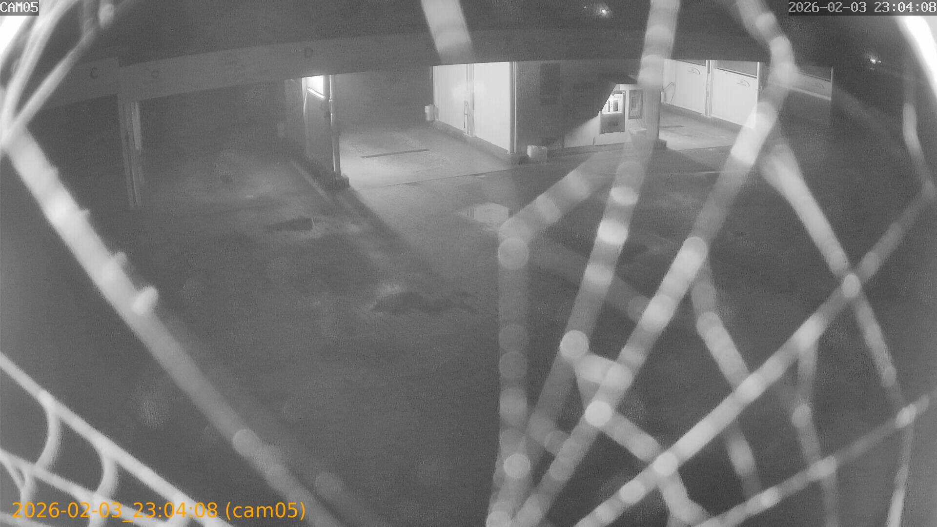 thumbnail_20260203230408