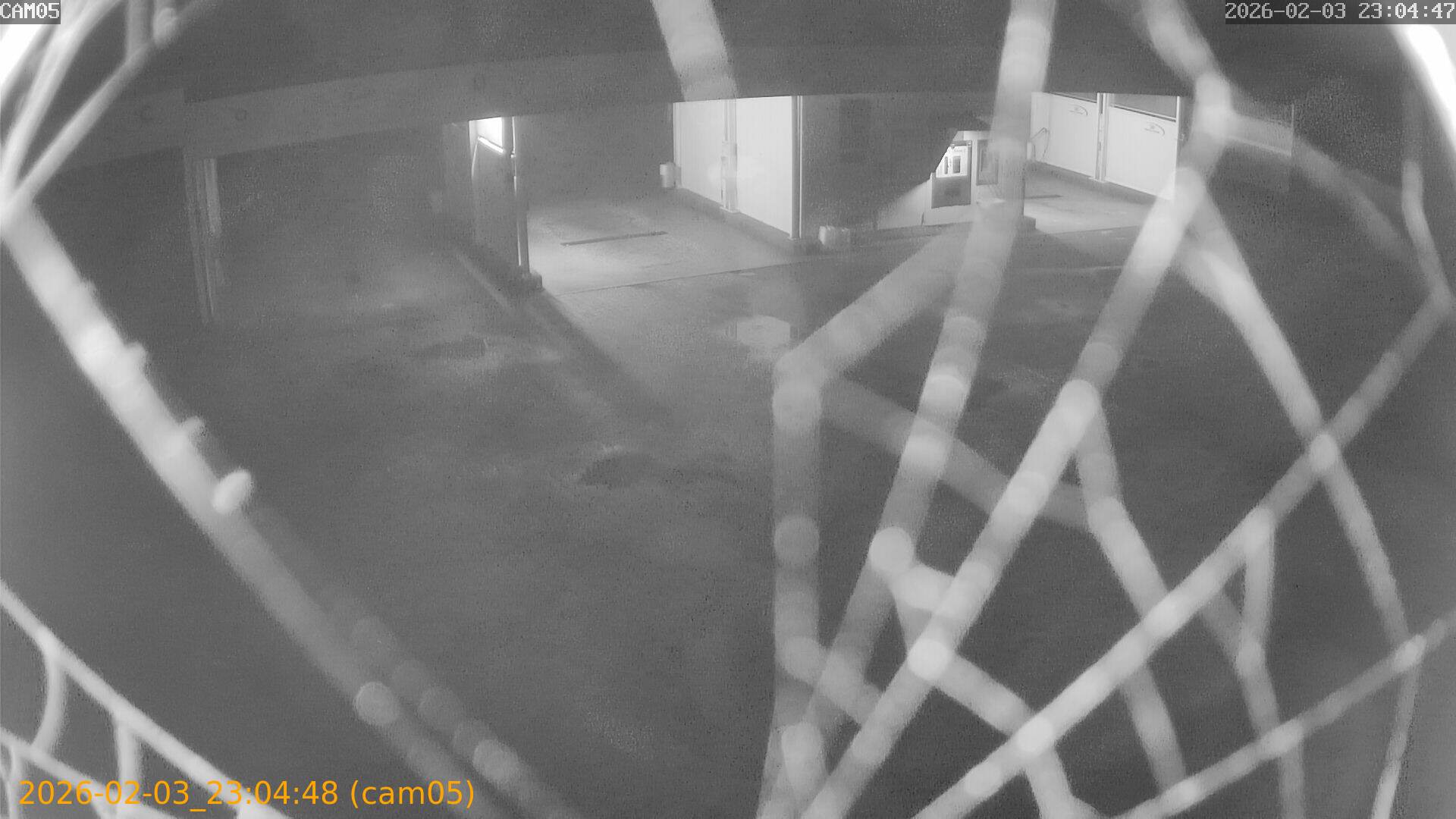 thumbnail_20260203230448