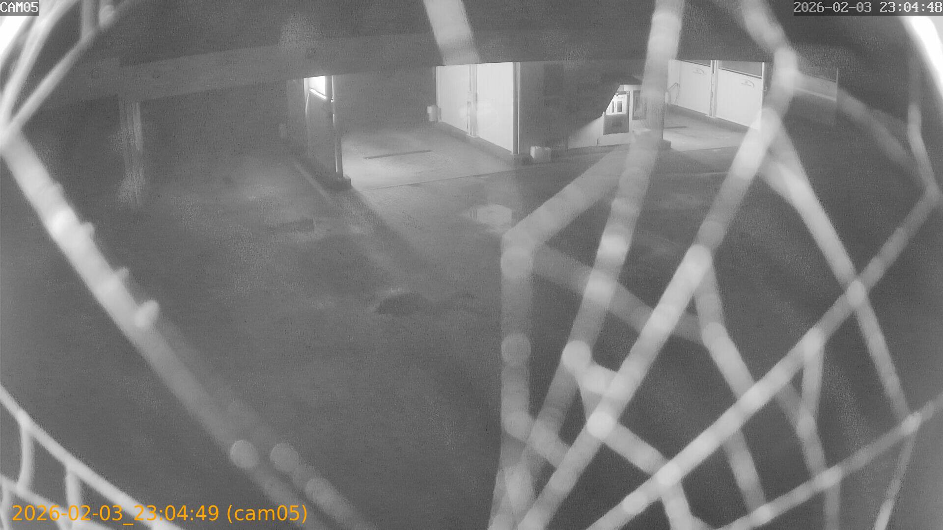 thumbnail_20260203230449