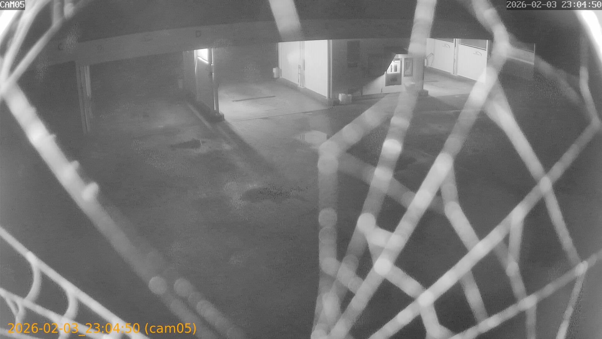 thumbnail_20260203230450