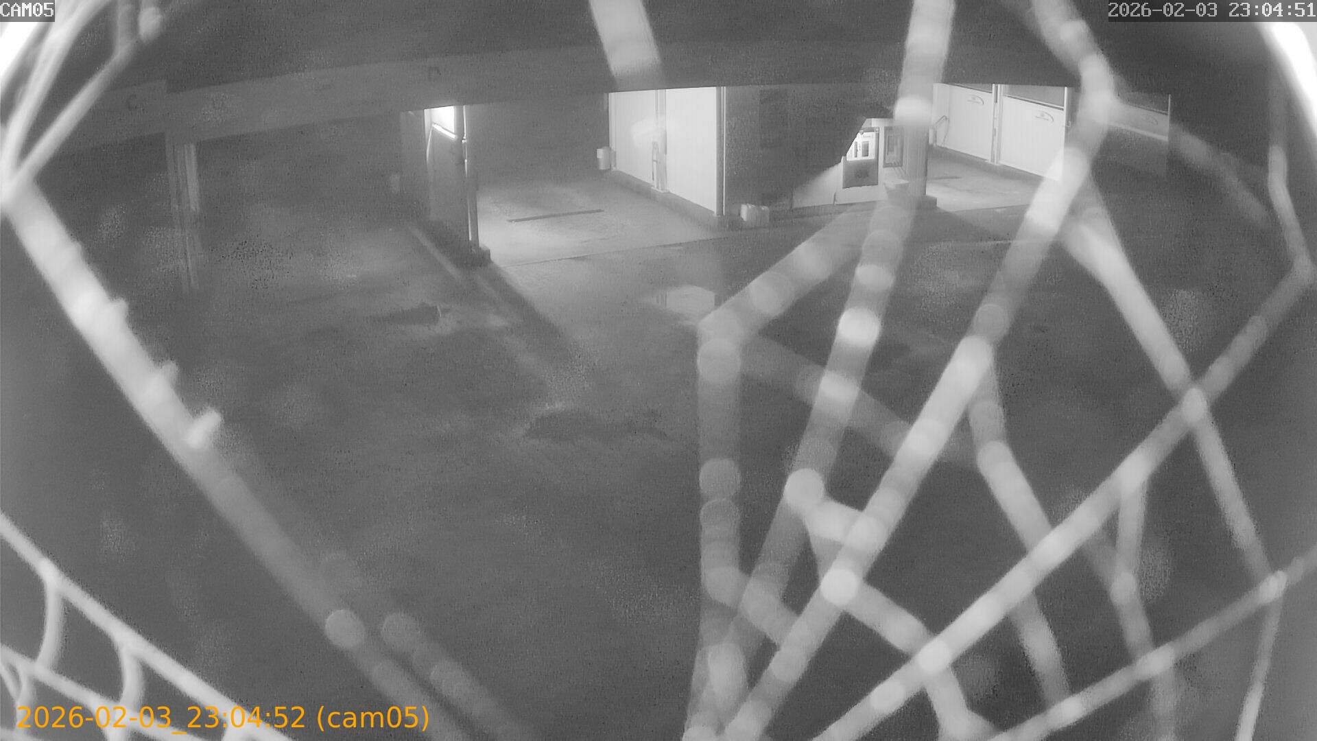 thumbnail_20260203230452