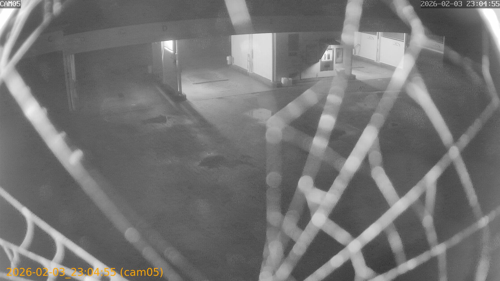 thumbnail_20260203230455