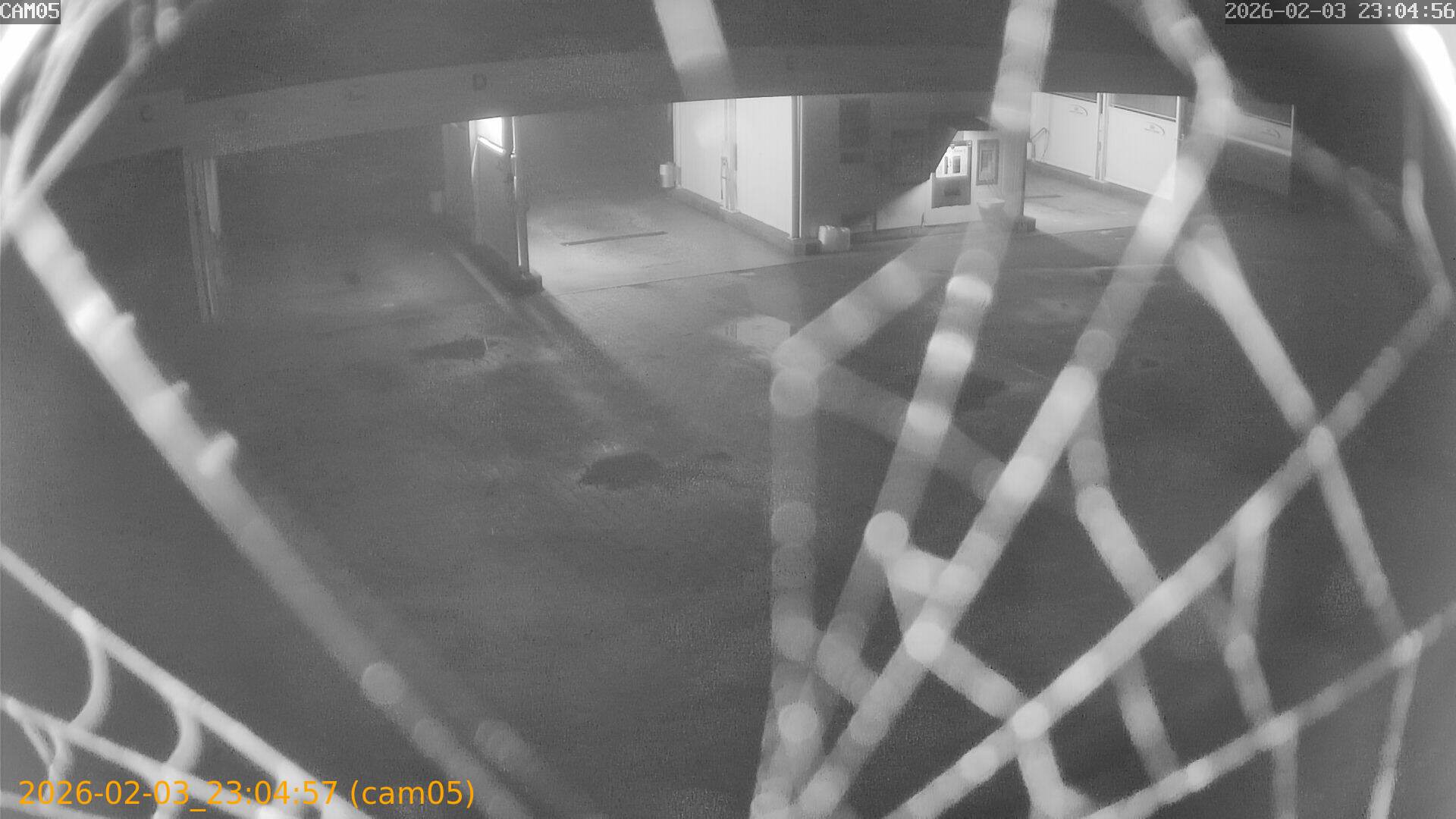 thumbnail_20260203230457