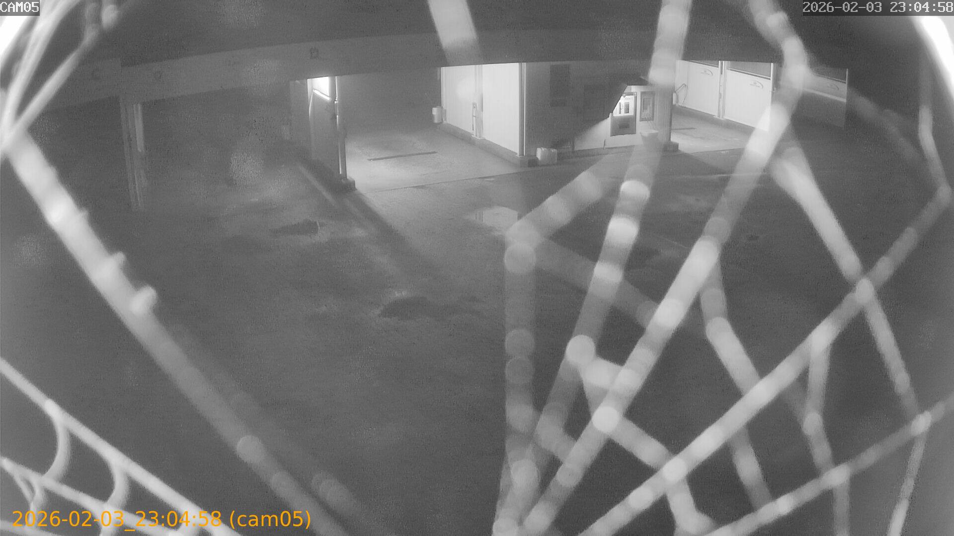 thumbnail_20260203230458