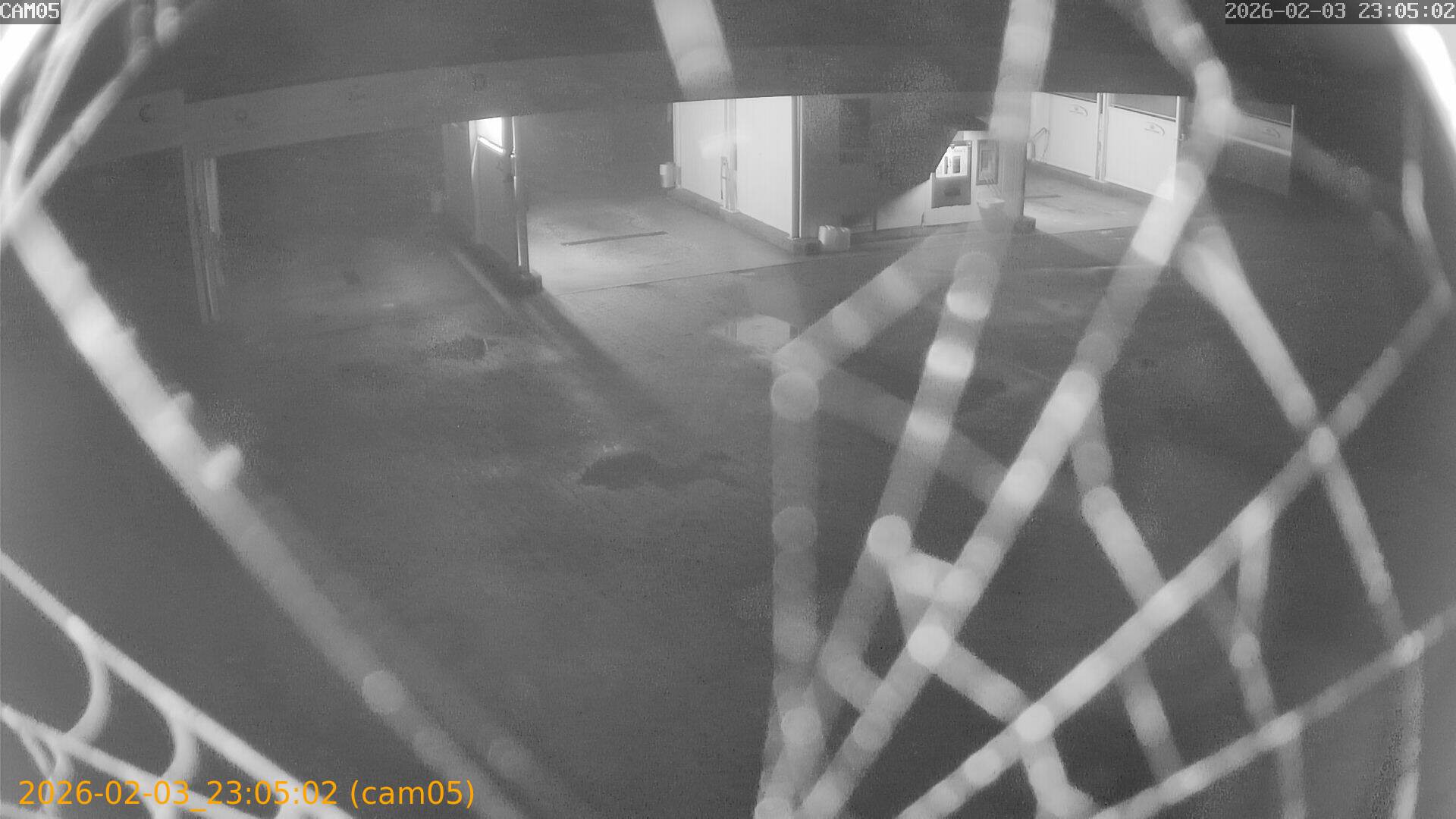 thumbnail_20260203230502