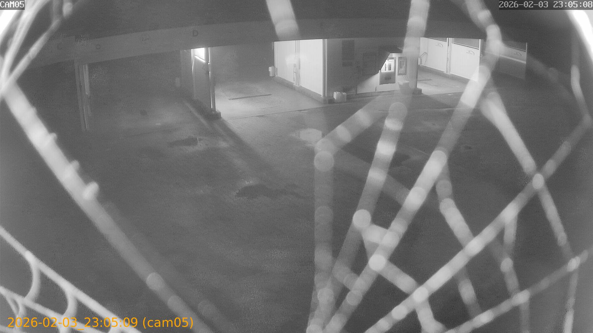 thumbnail_20260203230509