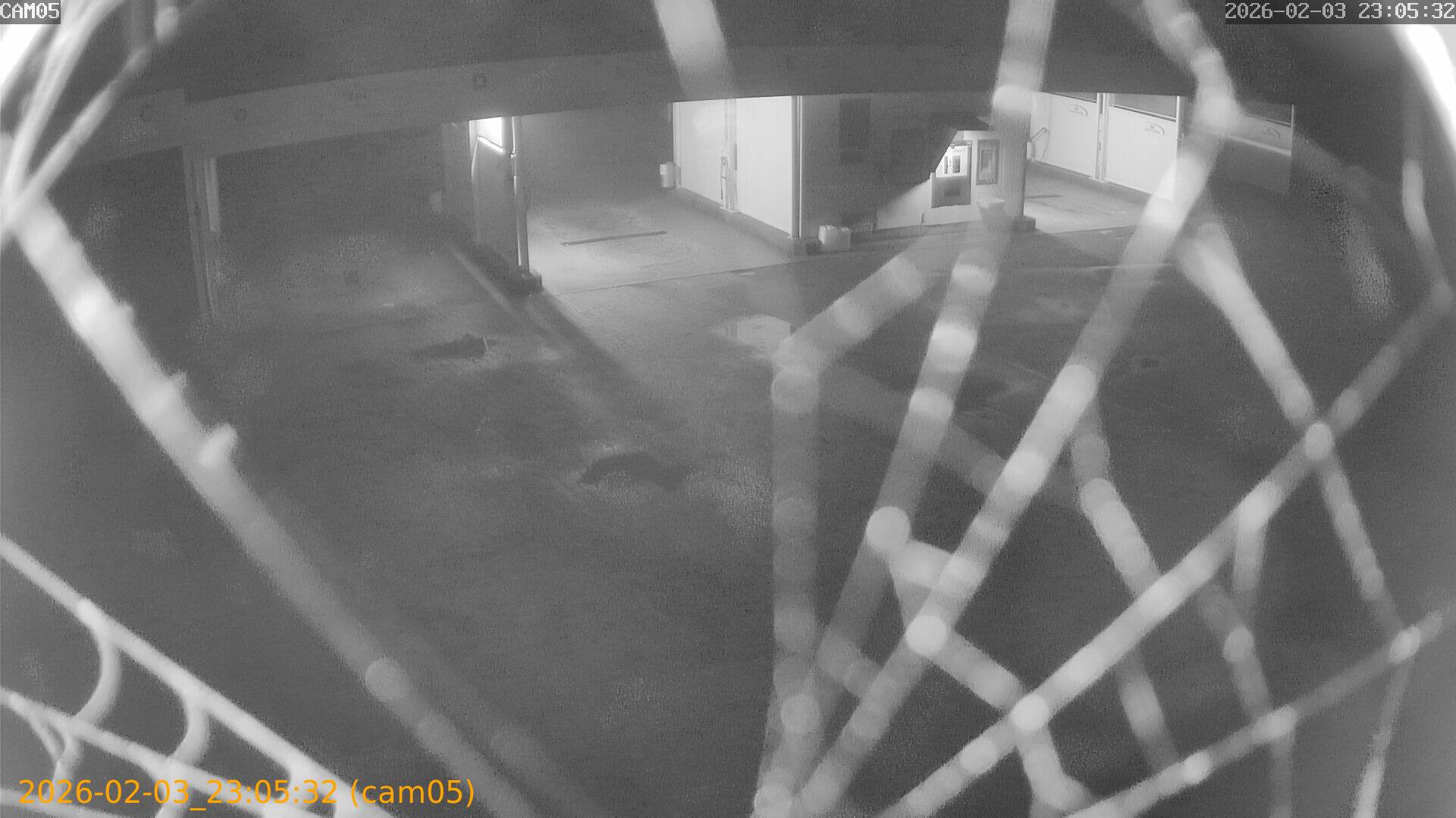 thumbnail_20260203230532