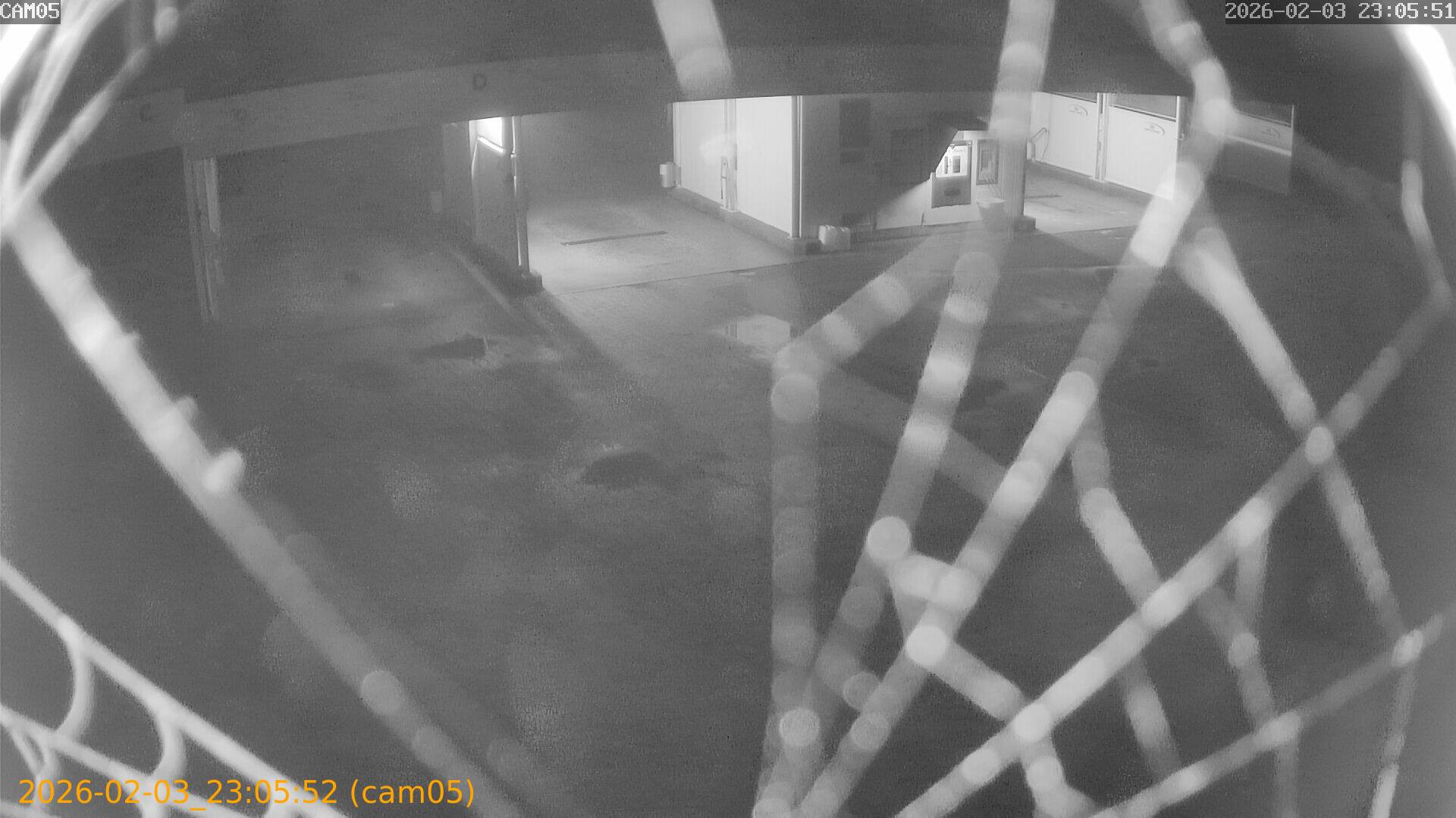 thumbnail_20260203230552