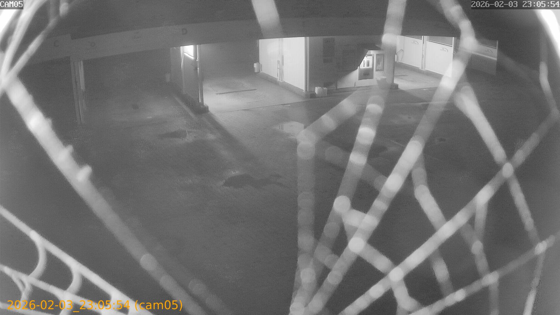 thumbnail_20260203230554