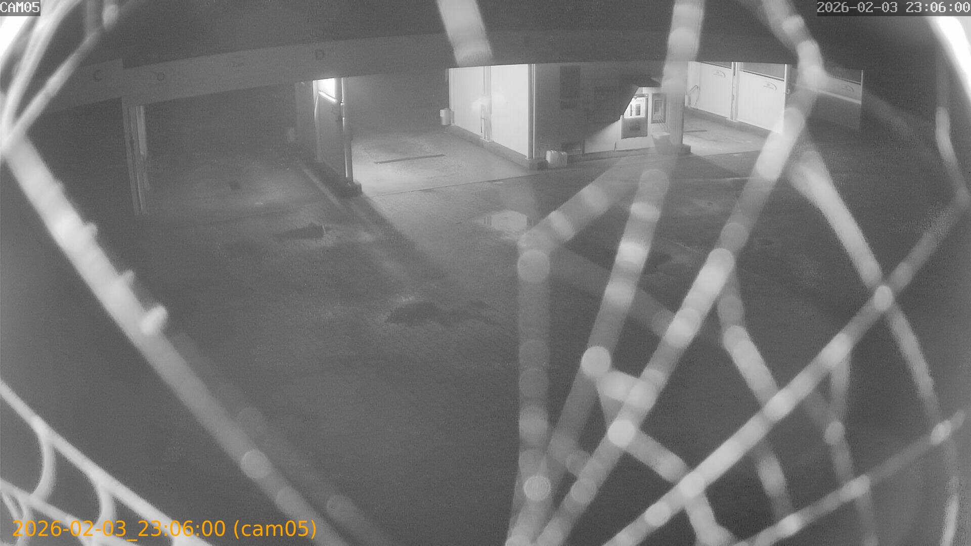 thumbnail_20260203230600