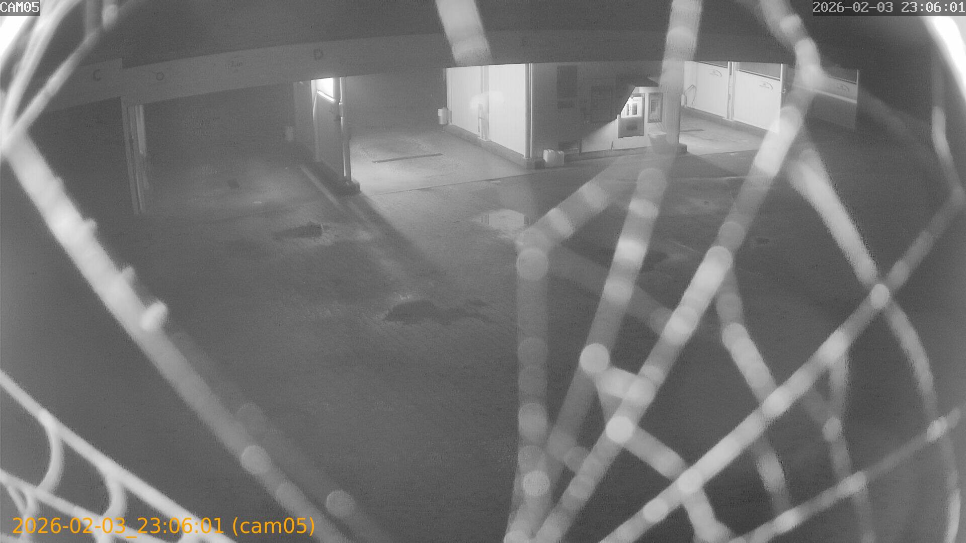 thumbnail_20260203230601