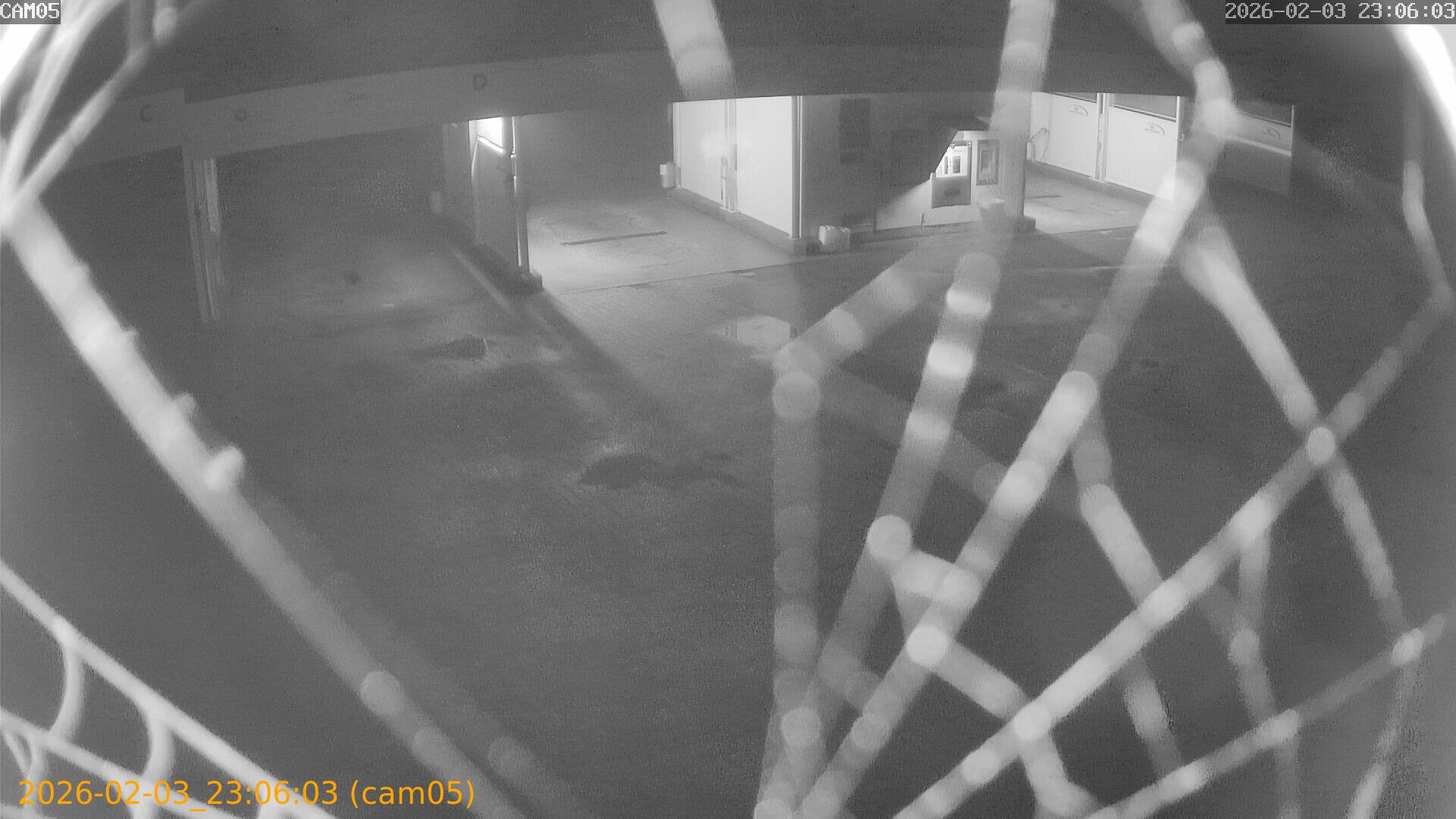 thumbnail_20260203230603