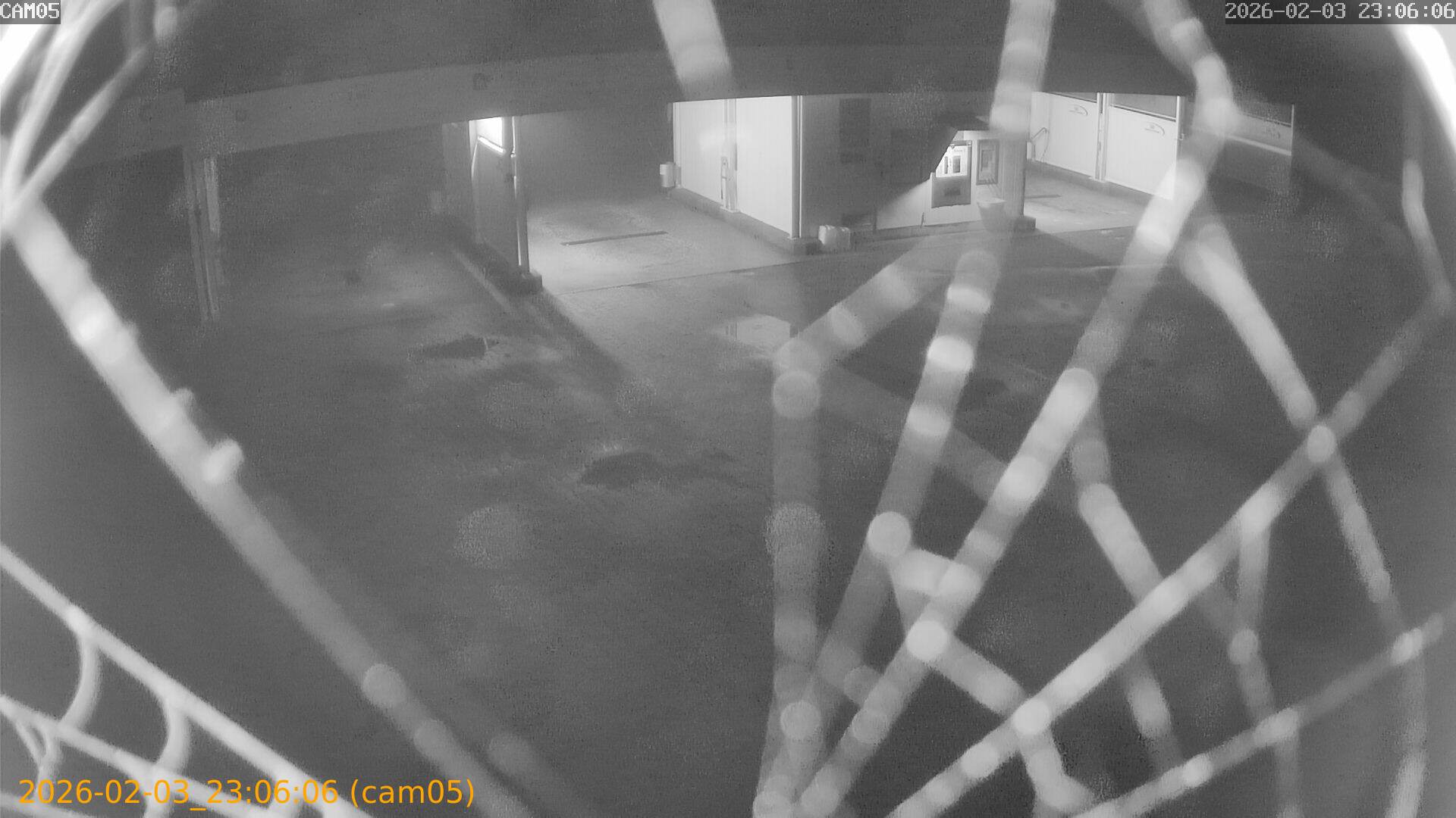 thumbnail_20260203230606