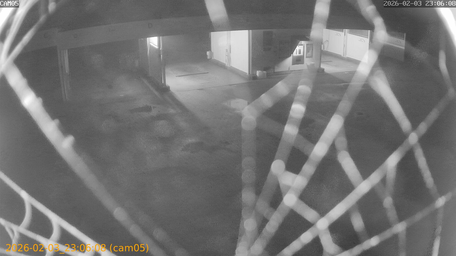 thumbnail_20260203230608