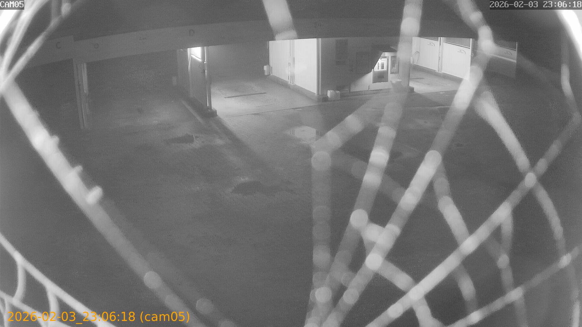 thumbnail_20260203230618