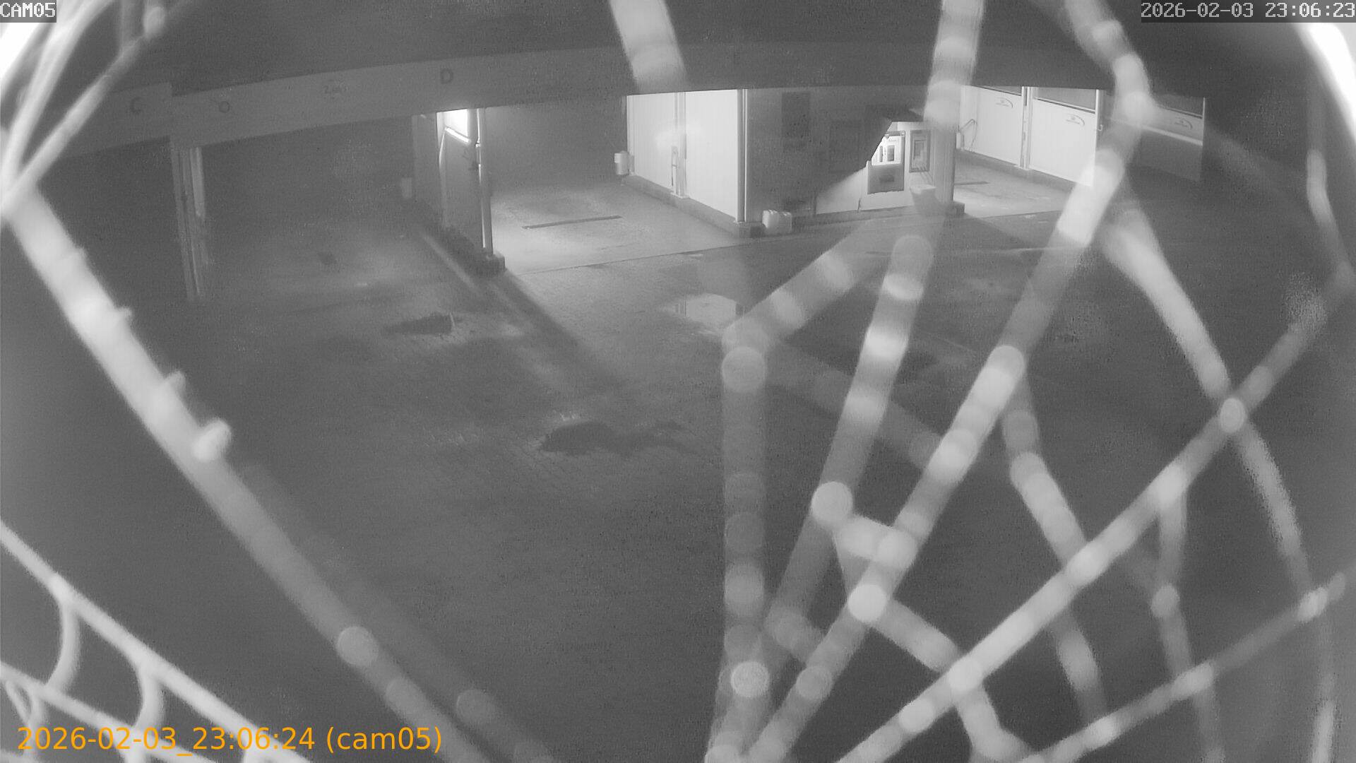 thumbnail_20260203230623