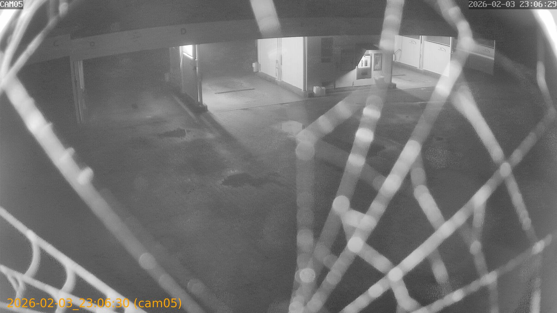 thumbnail_20260203230630