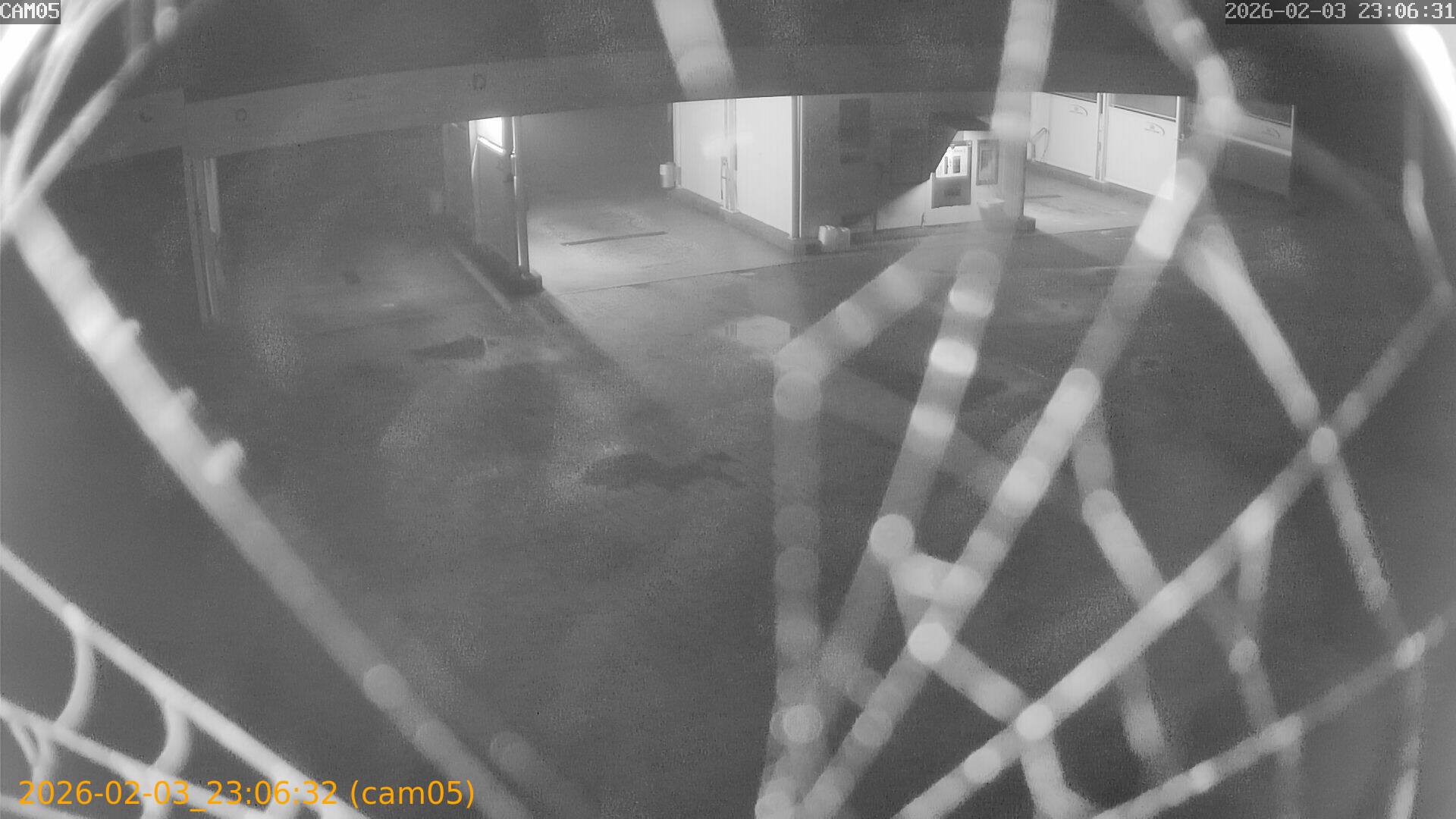 thumbnail_20260203230632