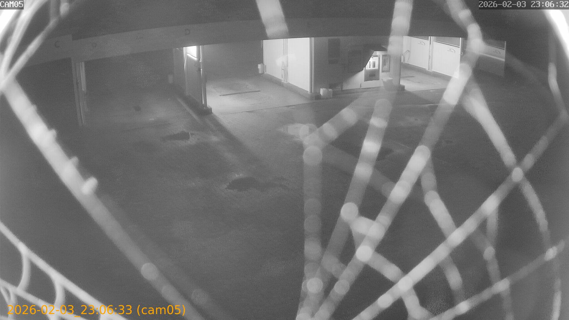 thumbnail_20260203230633