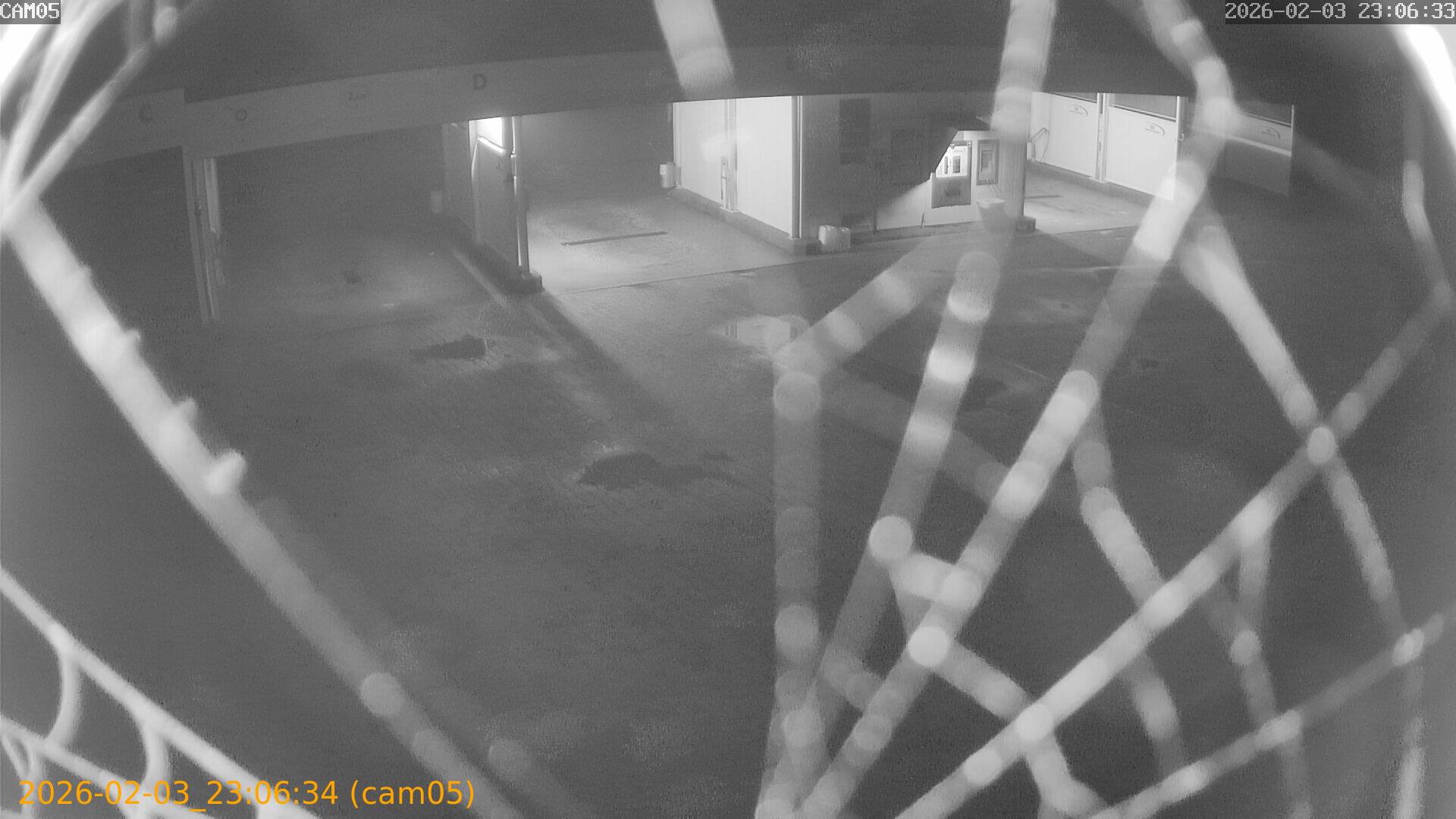 thumbnail_20260203230634