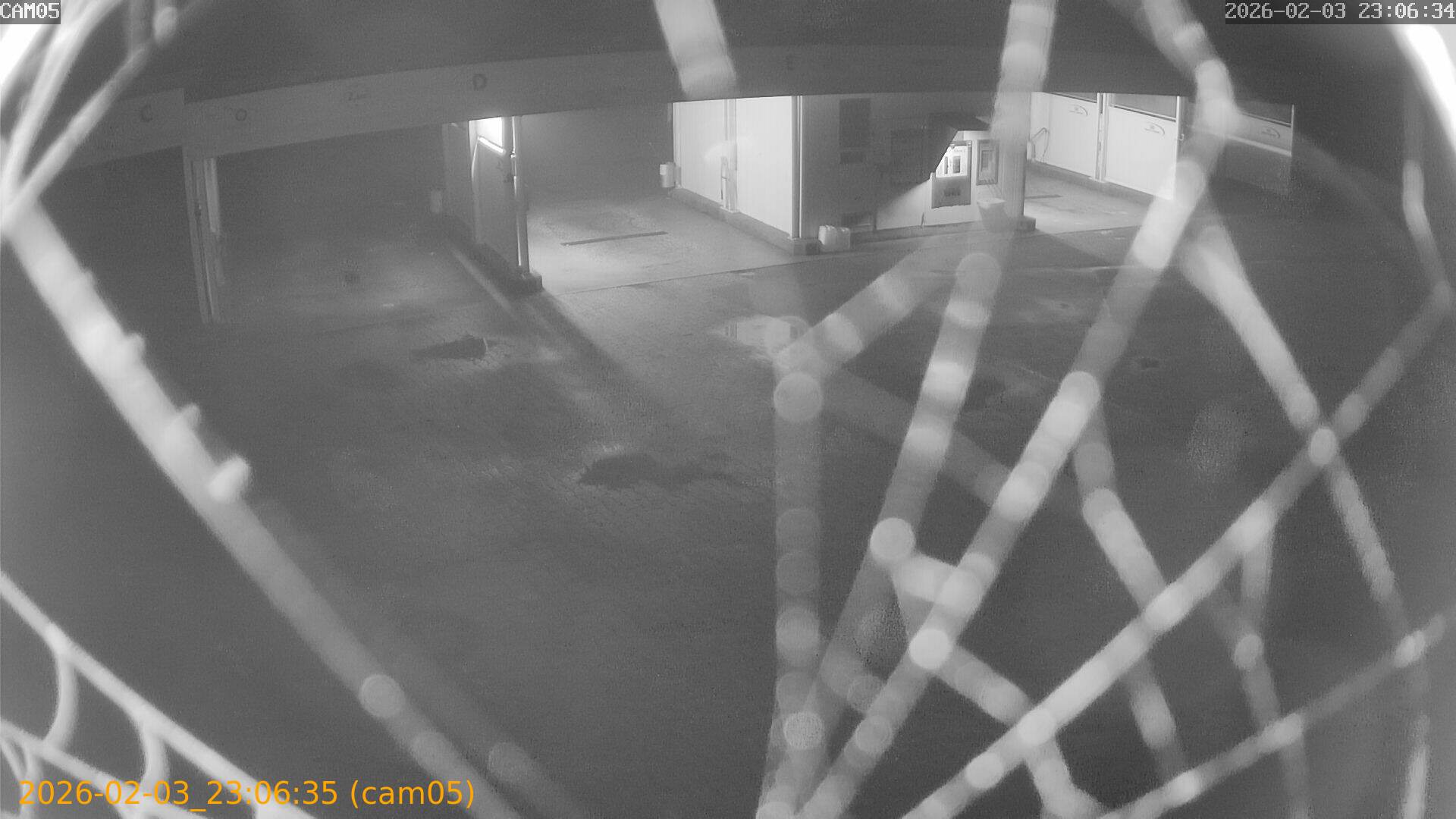 thumbnail_20260203230635