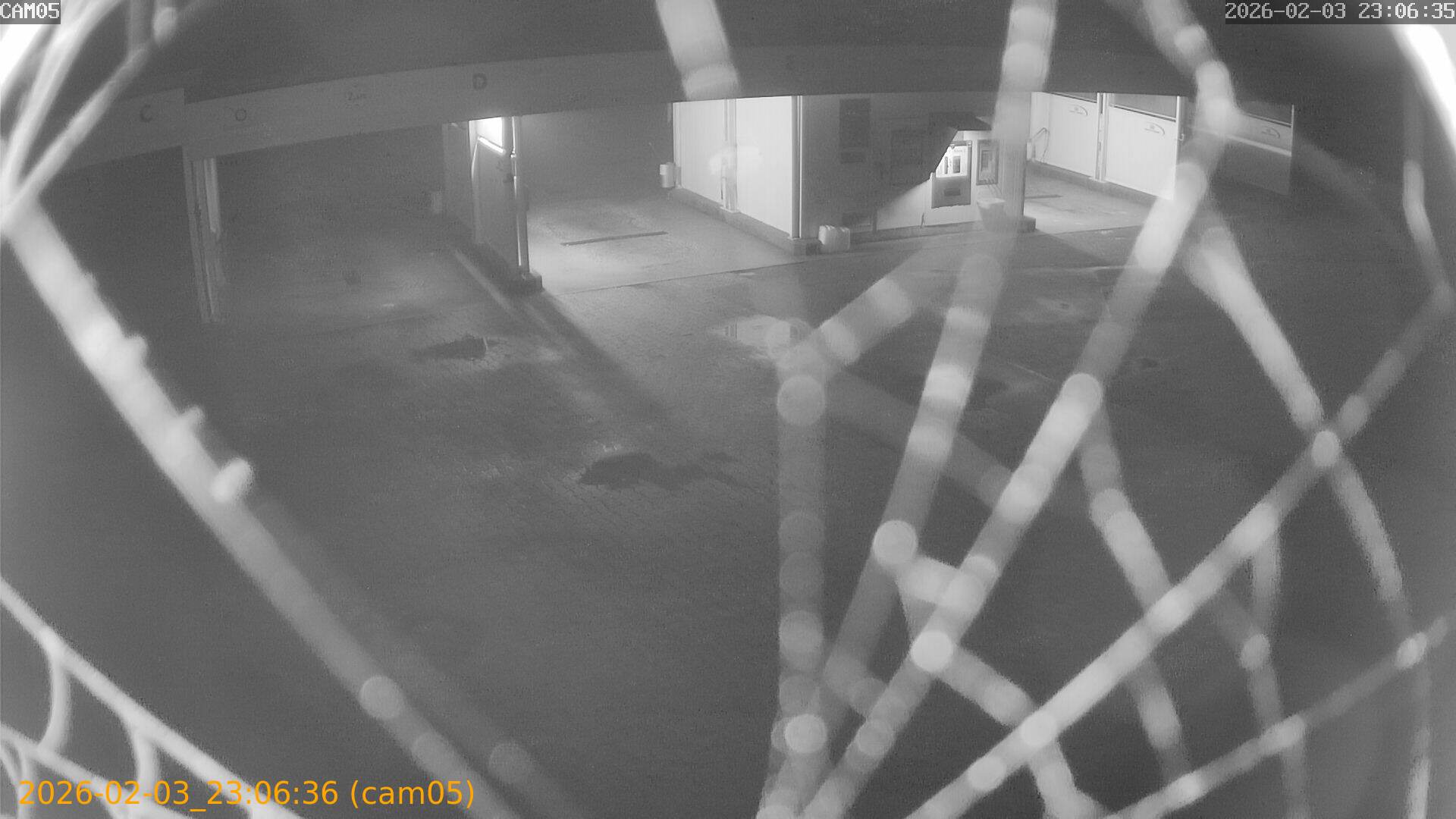 thumbnail_20260203230636