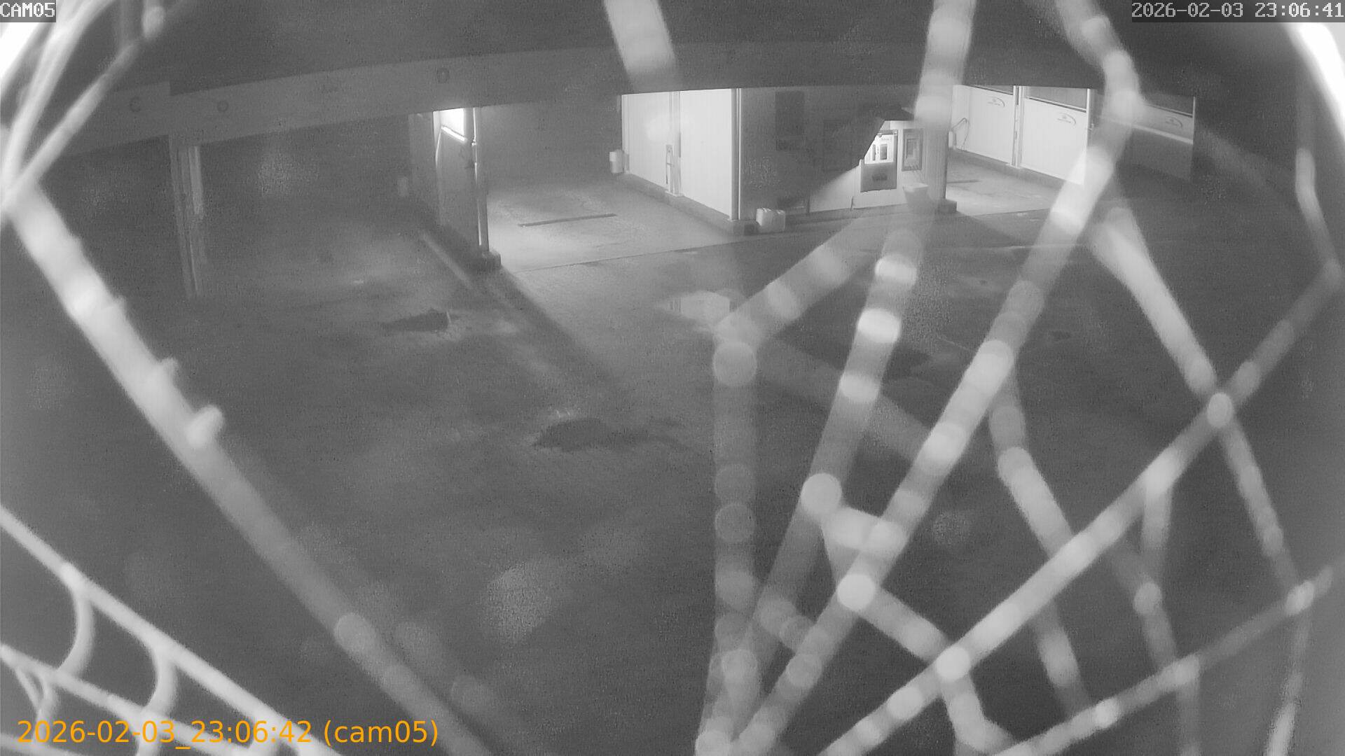 thumbnail_20260203230642