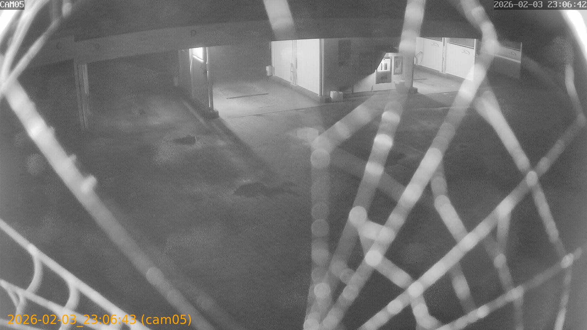 thumbnail_20260203230643