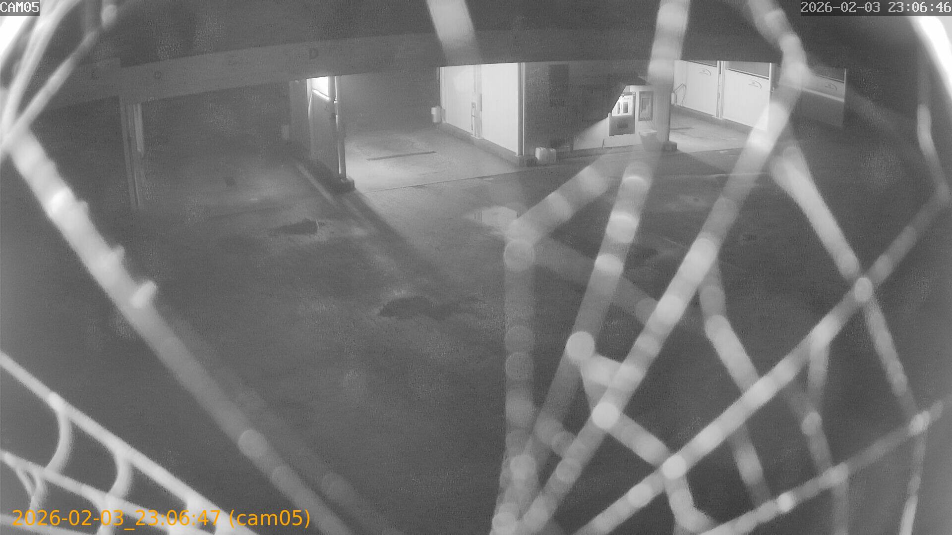 thumbnail_20260203230647