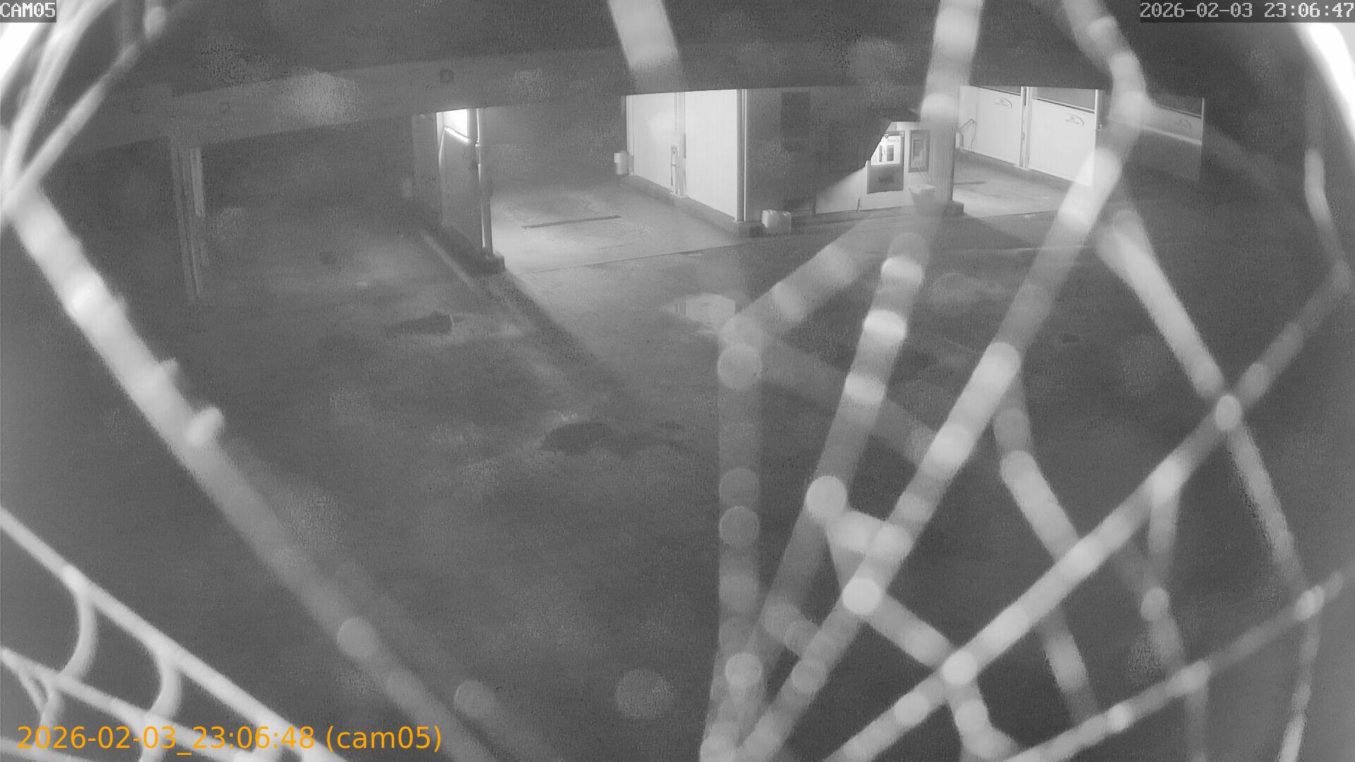 thumbnail_20260203230648