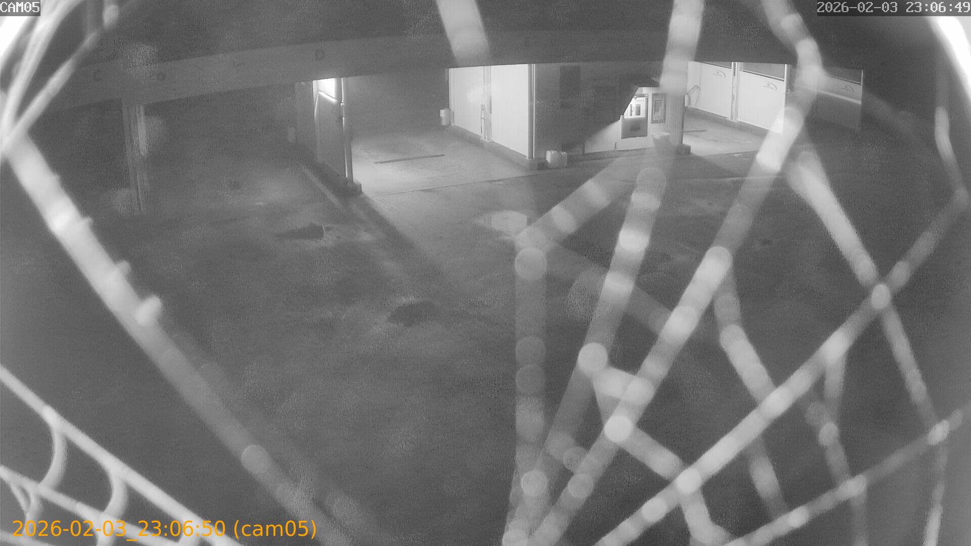 thumbnail_20260203230650