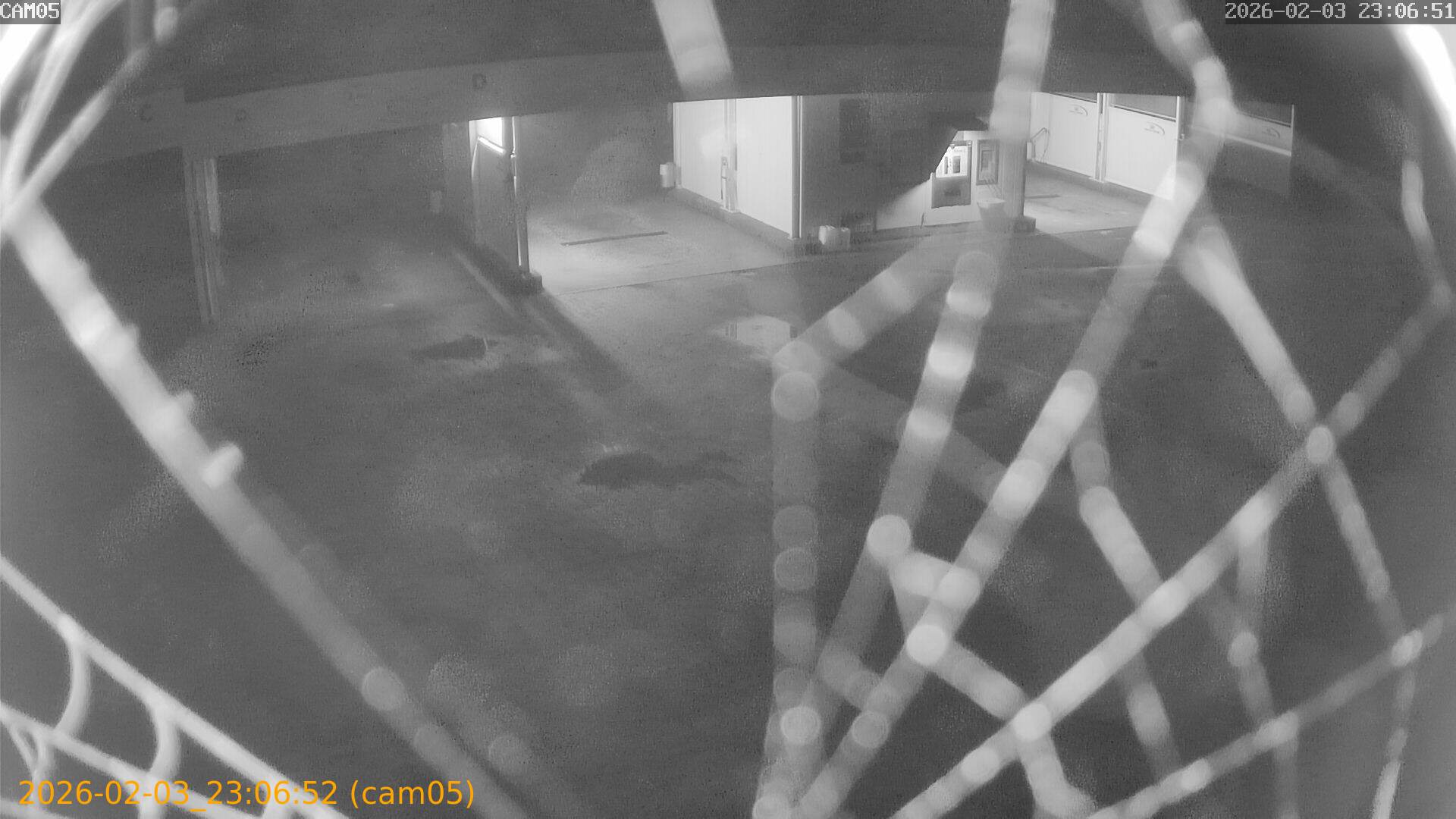 thumbnail_20260203230652