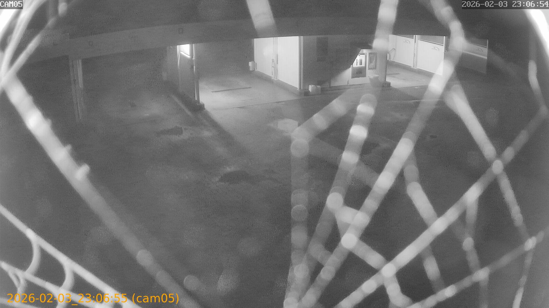 thumbnail_20260203230655