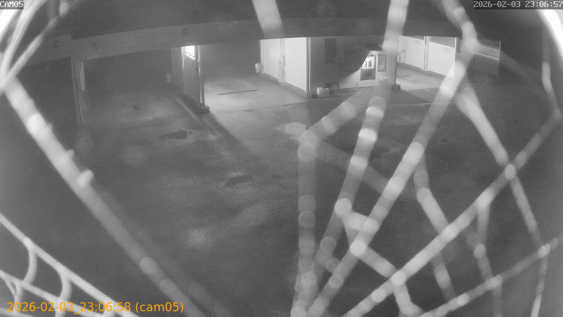 thumbnail_20260203230658