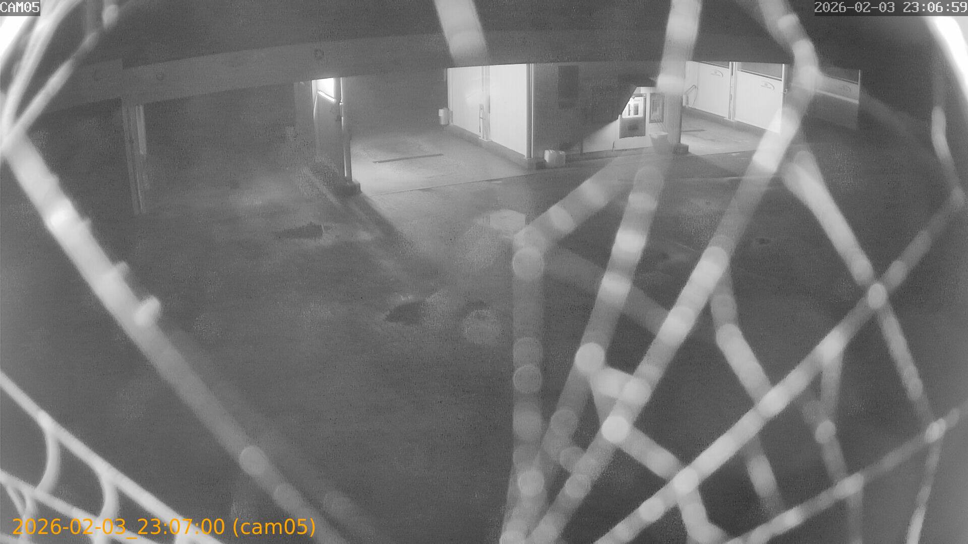 thumbnail_20260203230700