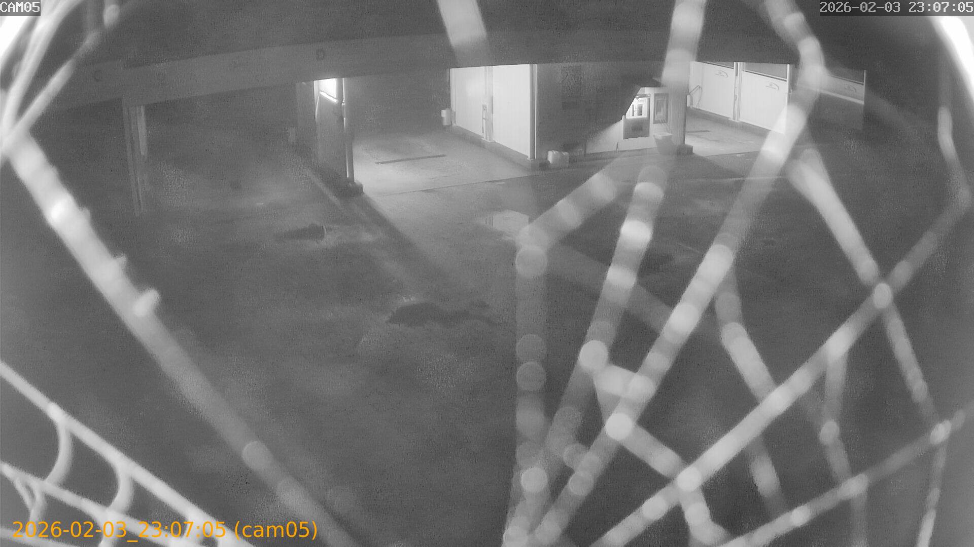 thumbnail_20260203230705