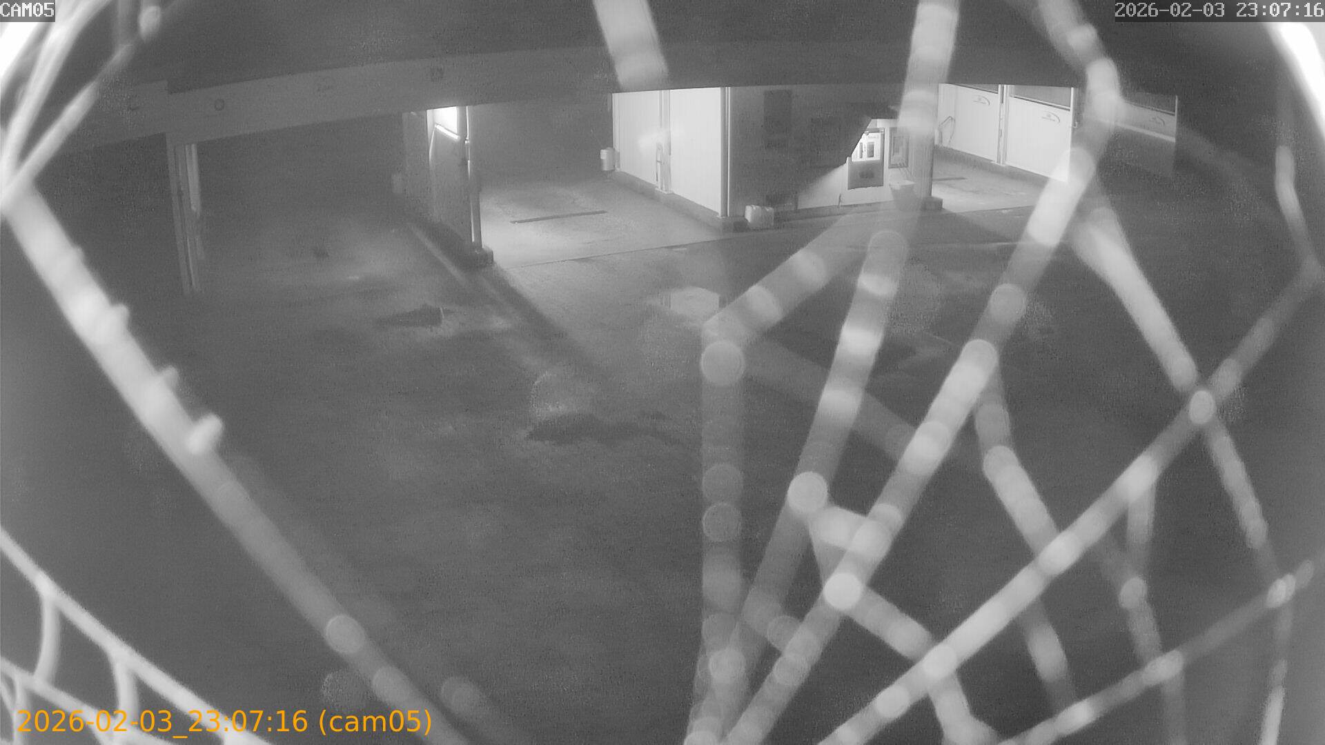 thumbnail_20260203230716