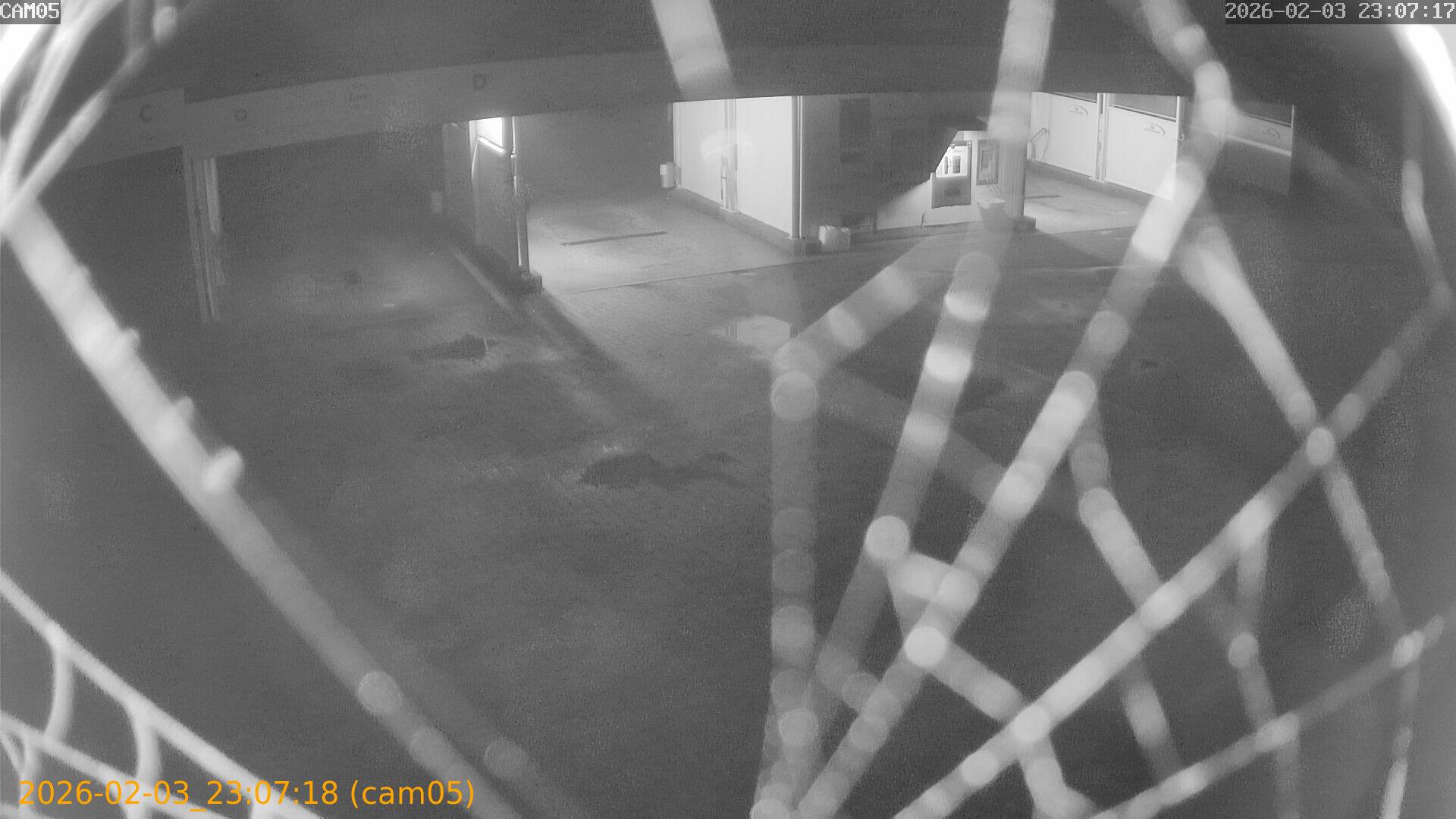 thumbnail_20260203230718