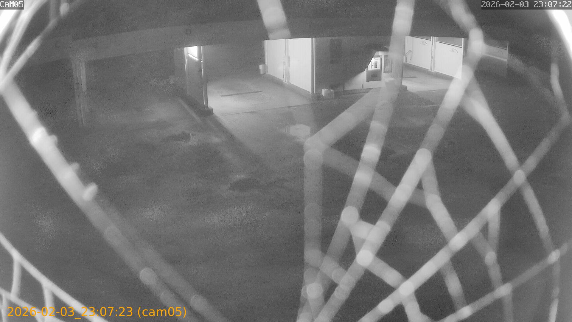 thumbnail_20260203230723