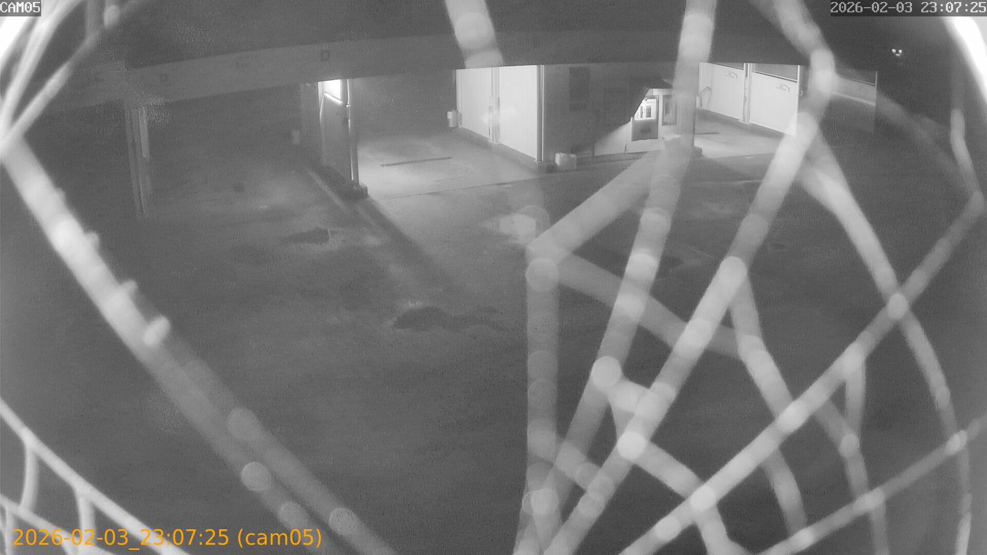 thumbnail_20260203230725