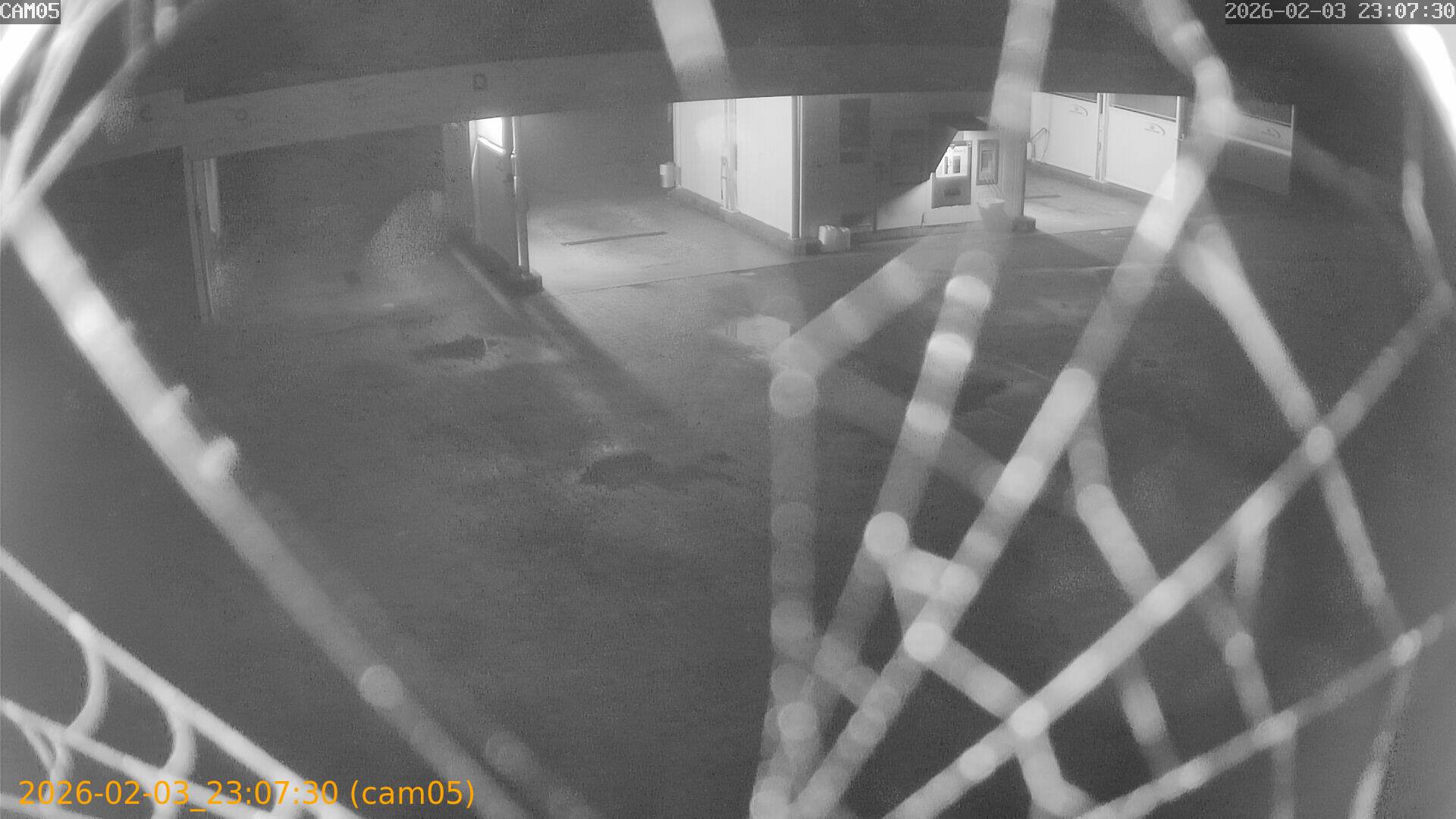 thumbnail_20260203230730