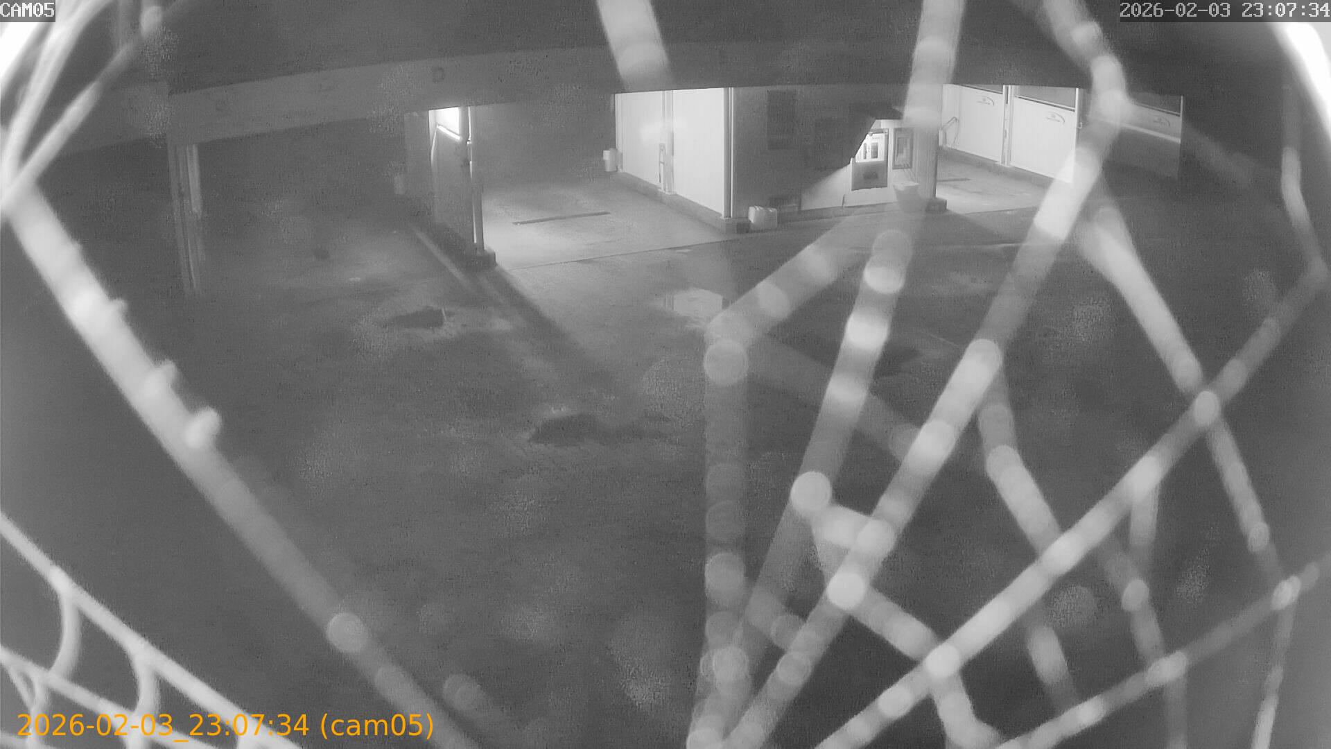 thumbnail_20260203230734