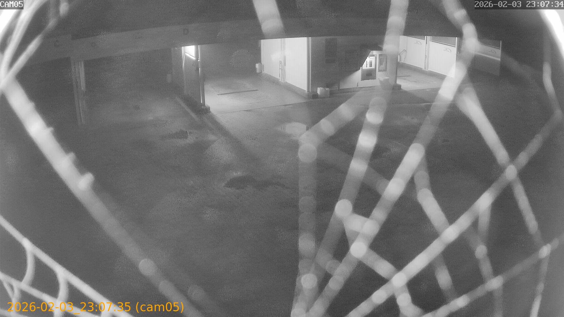 thumbnail_20260203230735