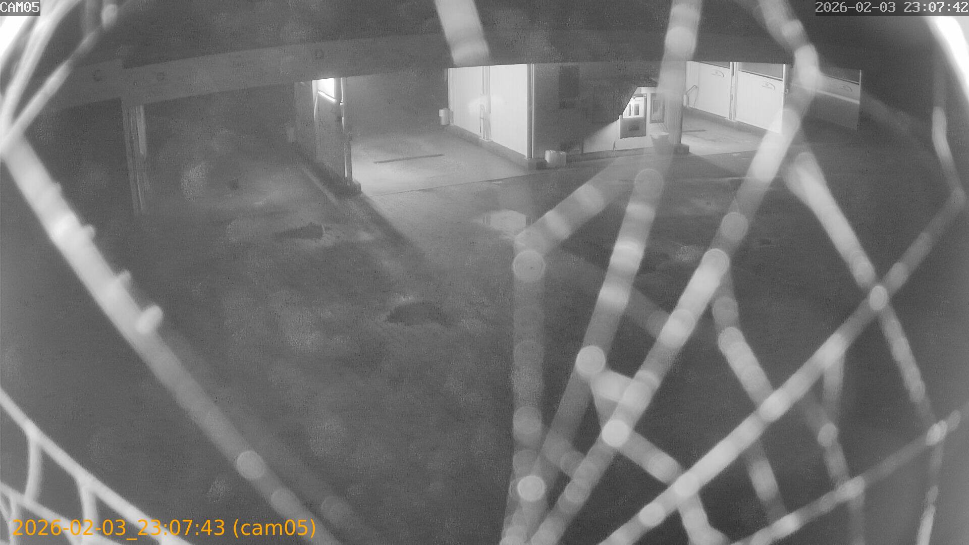 thumbnail_20260203230743