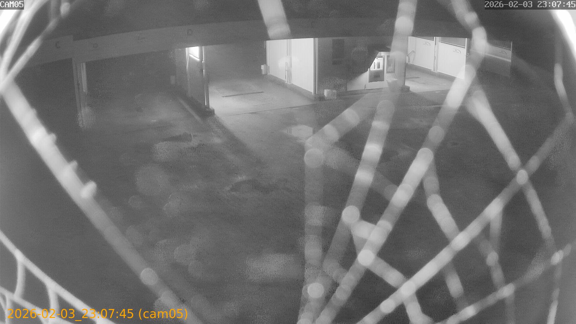 thumbnail_20260203230745