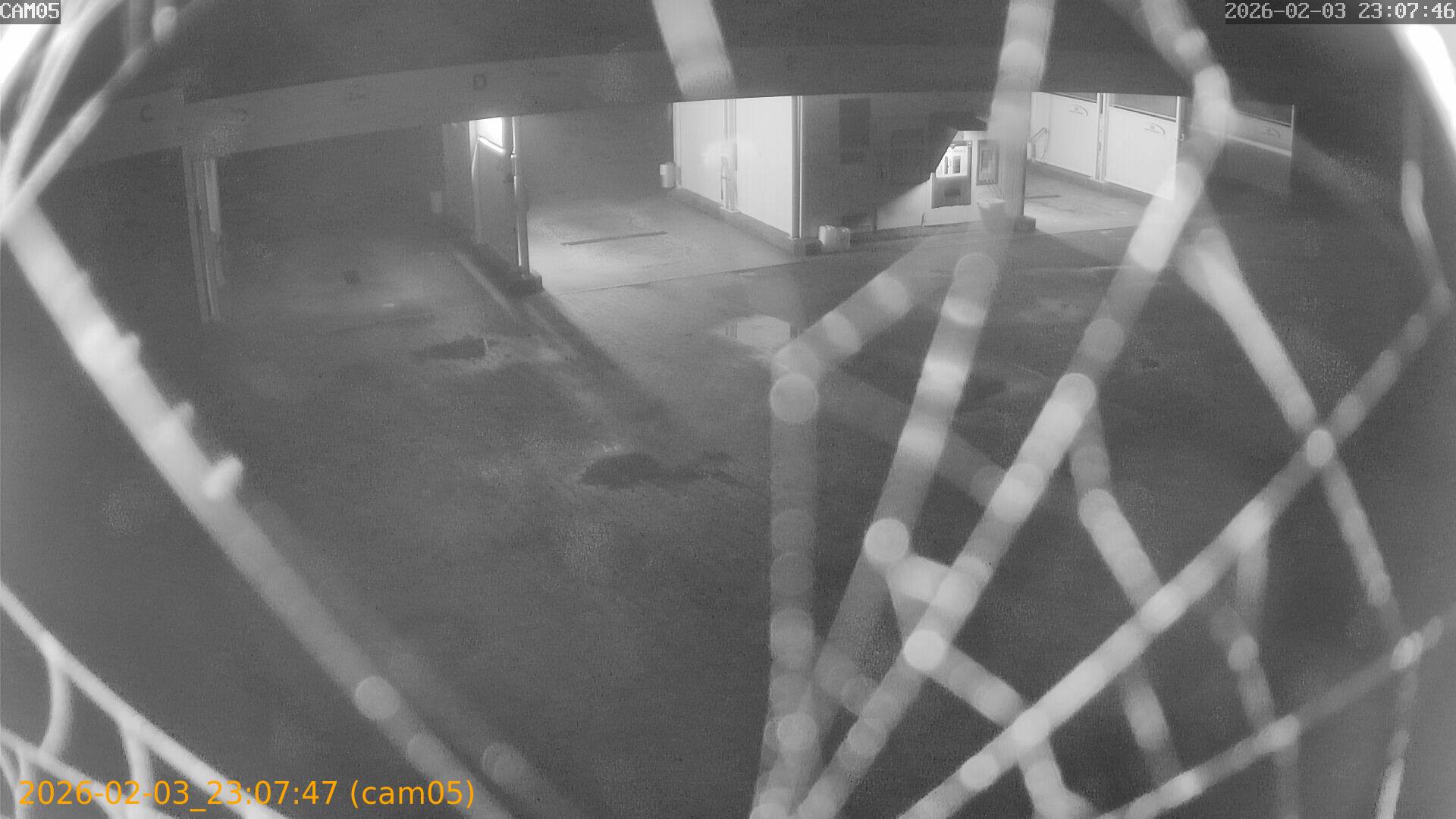 thumbnail_20260203230747