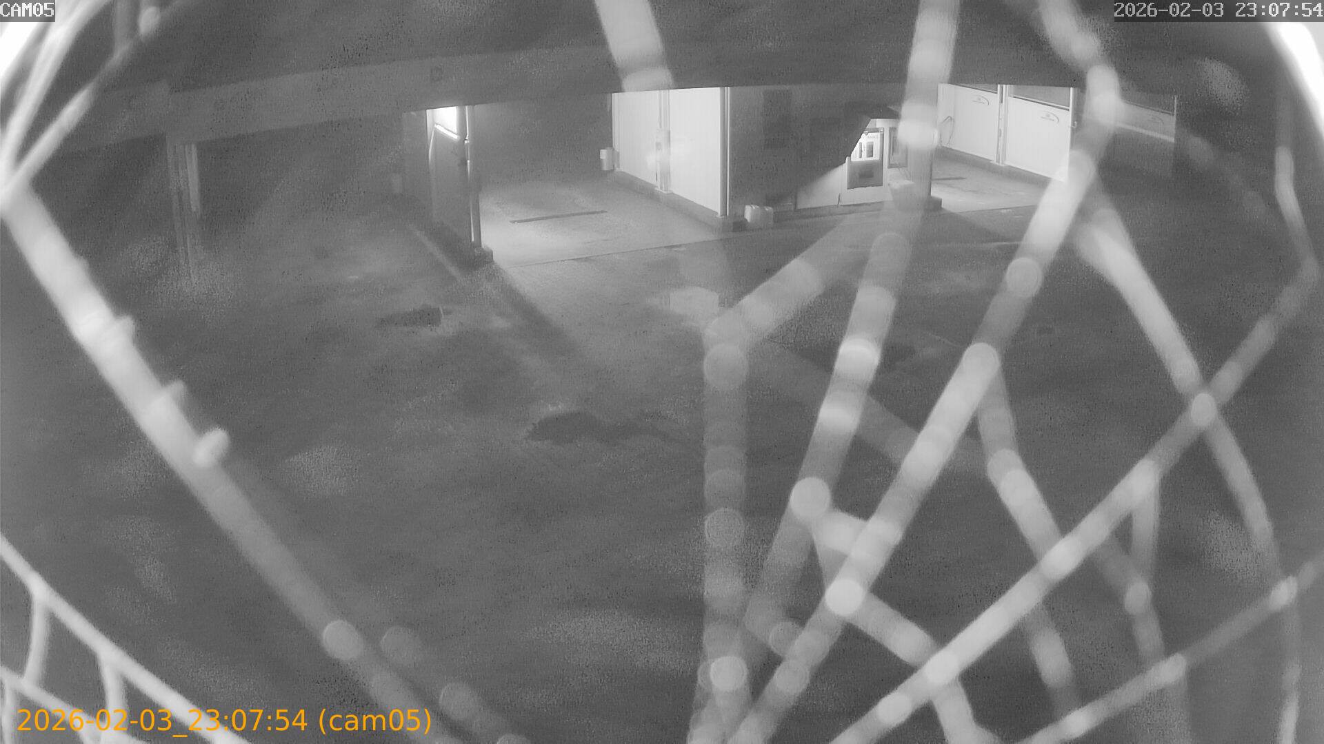 thumbnail_20260203230754