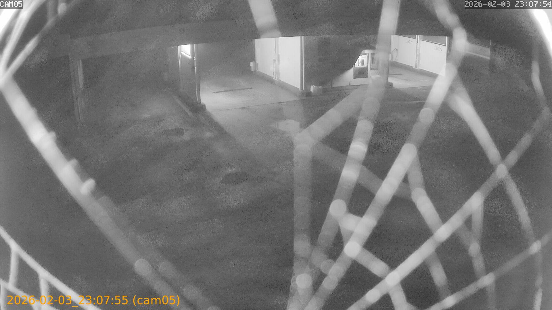 thumbnail_20260203230755