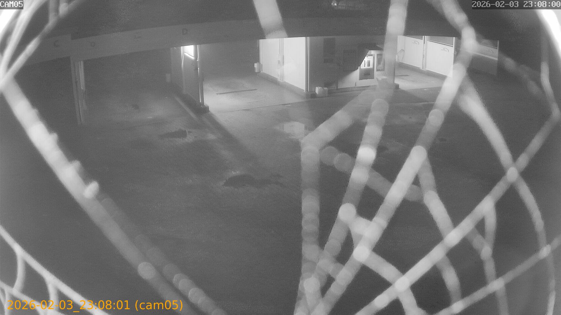 thumbnail_20260203230801